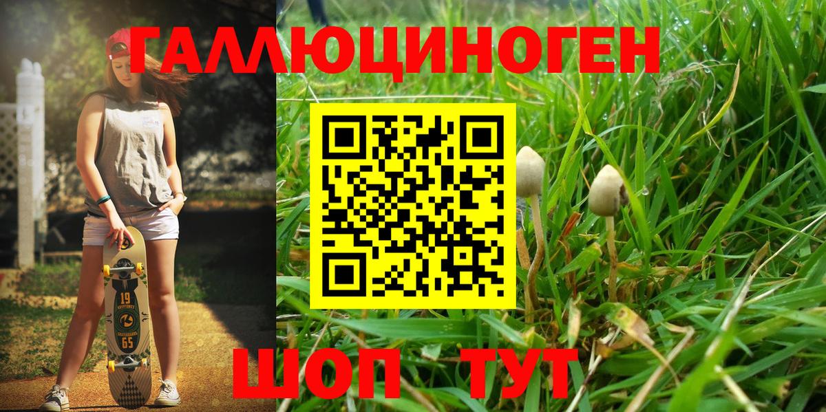 Ивантеевка  Галлюциногенные грибы ЛСД  Галлюциногенные грибы Magic Shrooms  Вход с VPN 
