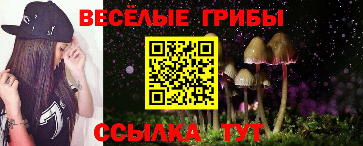 Галлюциногенные грибы Psilocybine cubensis Ивантеевка