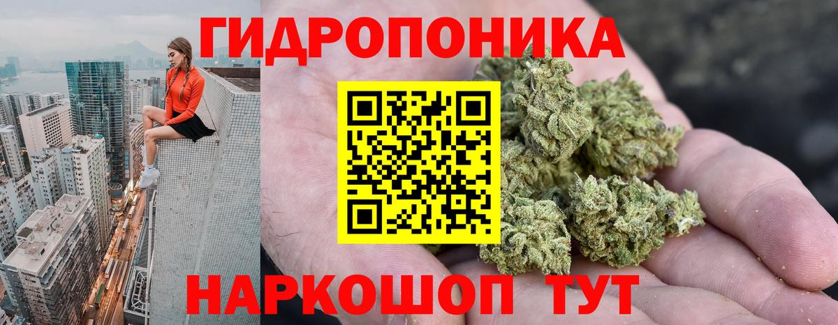 Канабис OG Kush  Вход с VPN  Ивантеевка  Бошки Шишки AK-47 